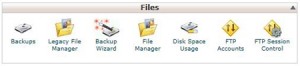 Backup Wizard Icon