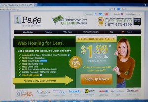 Domain Names and Web Hosting