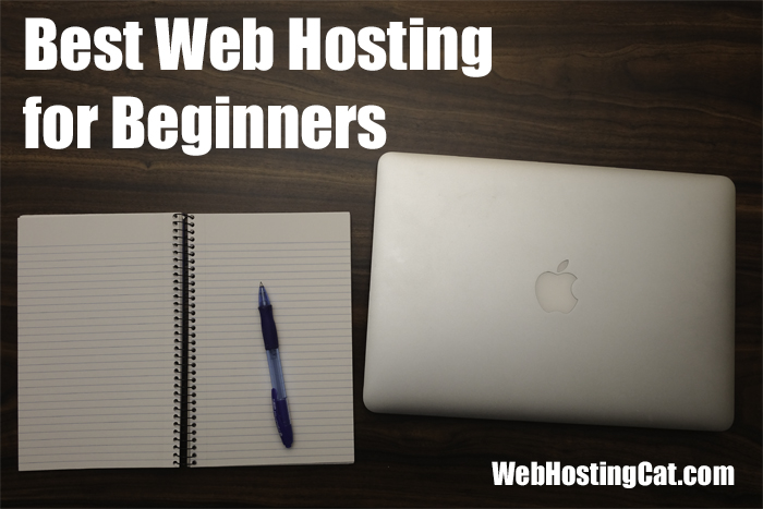 best-web-hosting-for-beginners