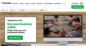 godaddy-pros-and-cons