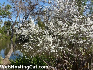 Spring Web Hosting Deals