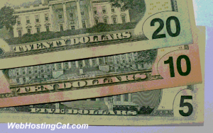 Paying Web Hosting Yearly Fees