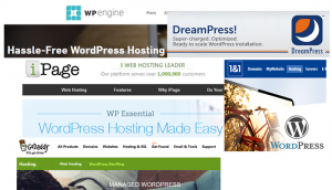 WordPress Hosting Pros and Cons