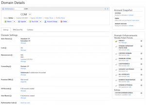 GoDaddy Domain Details