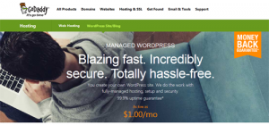 GoDaddy WP Hosting Review