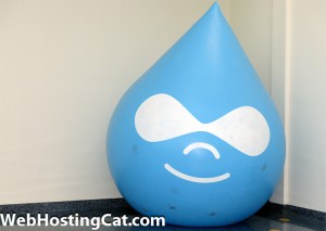 Best Drupal Hosting