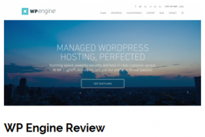 WP Engine Review