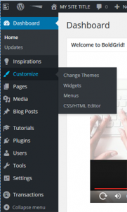 BoldGrid Customize Menu