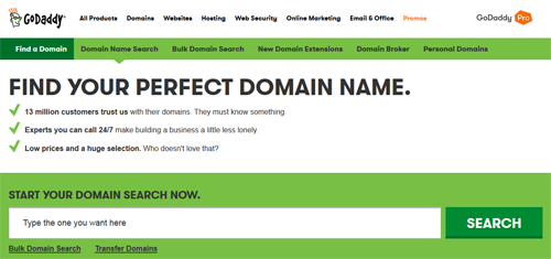 Best Domain Name Management GoDaddy