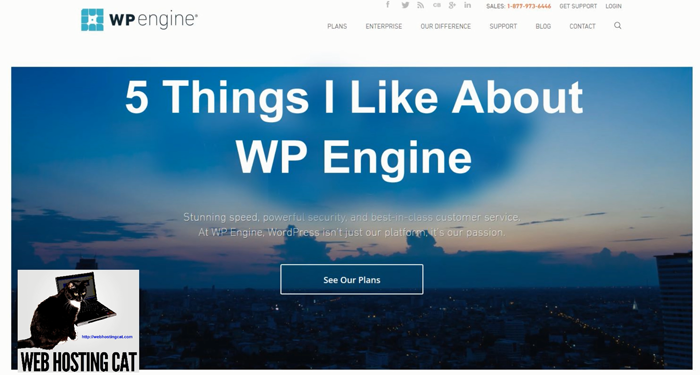 WP Engine Review Video