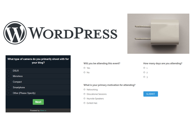 Best WordPress Survey Plugin