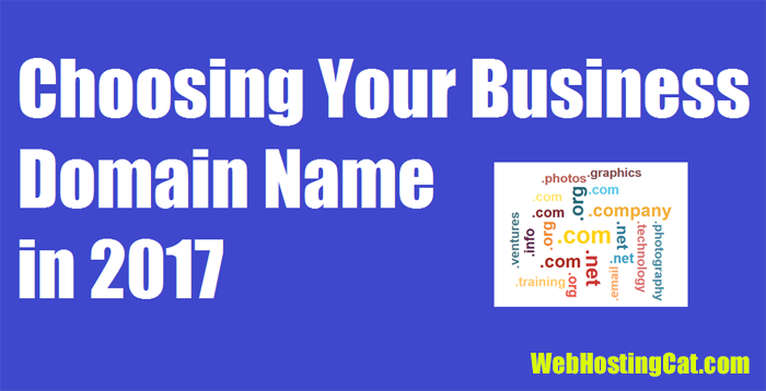 Choosing Your Business Domain Name in 2017 | Web Hosting Cat