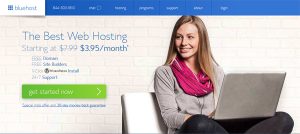bluehost-wordpress-hosting