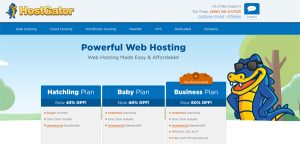 hostgator-wordpress-hosting