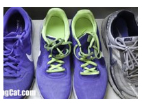best-web-hosting-for-fitness