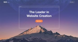 wix-review