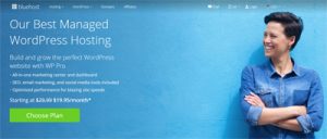 bluehost-wp-pro