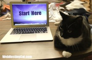 create-your-own-website