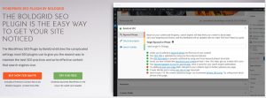 boldgrid-seo