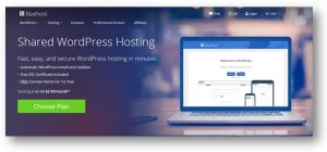 bluehost-wordpress-hosting
