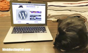 easy-wordpress-website