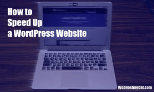 How to Speed Up a WordPress Website