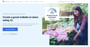 Bluehost AI Website Builder Review
