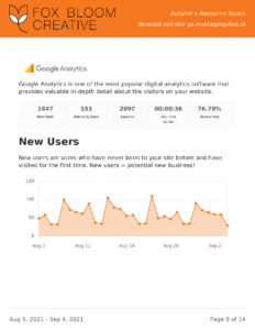 New Users Report