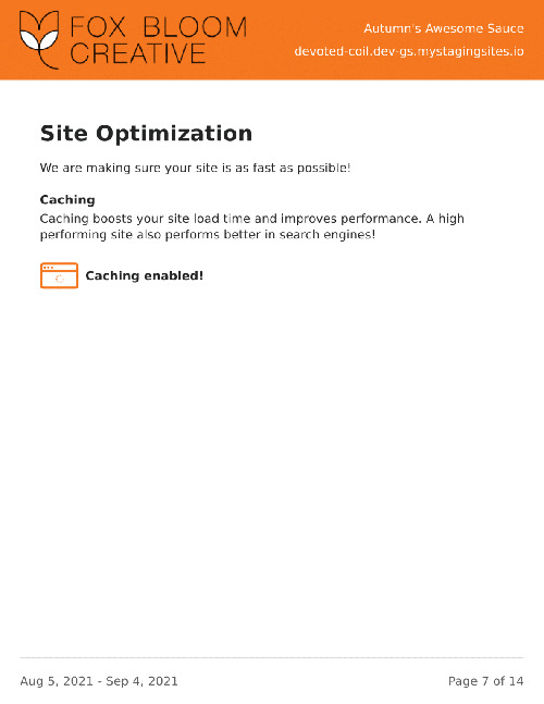 Site Optimization Report