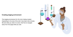 Kinsta Website Staging