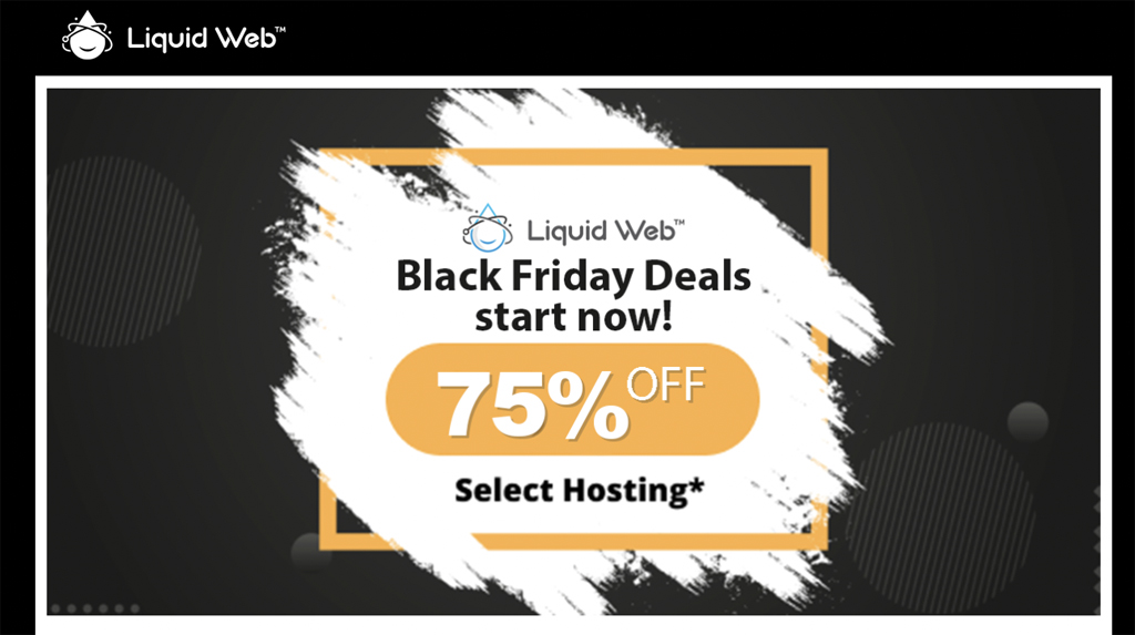 Liquid Web Black Friday Sale