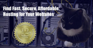 Web Hosting Cat 12th Year