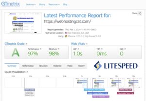 LiteSpeed Speed Test Results