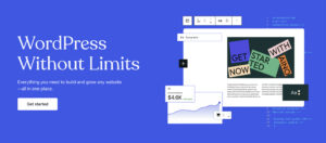 WordPress.com Review