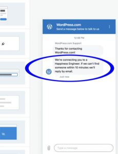 WordPress.com Live Chat Support Wait Times