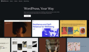 WordPress.com Review