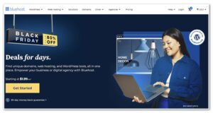 Bluehost Black Friday Discount Coupon