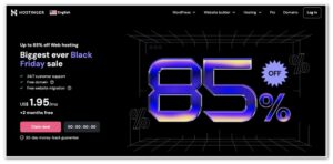Hostinger Black Friday Discount Coupon