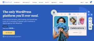 Bluehost Review