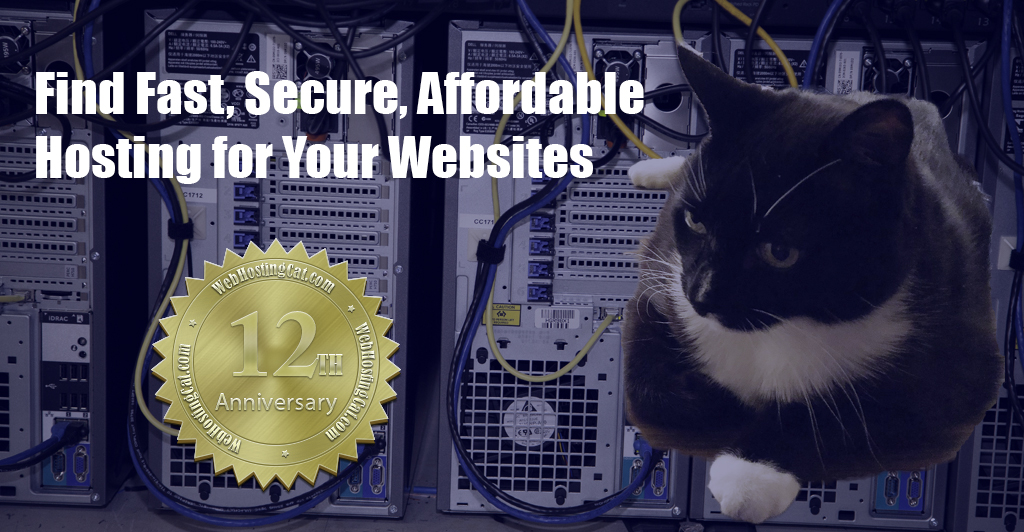 Web Hosting Cat 2025