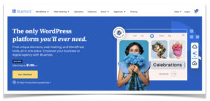 Bluehost Pros and Cons
