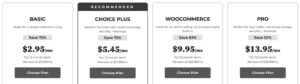 Bluehost Regular Pricing