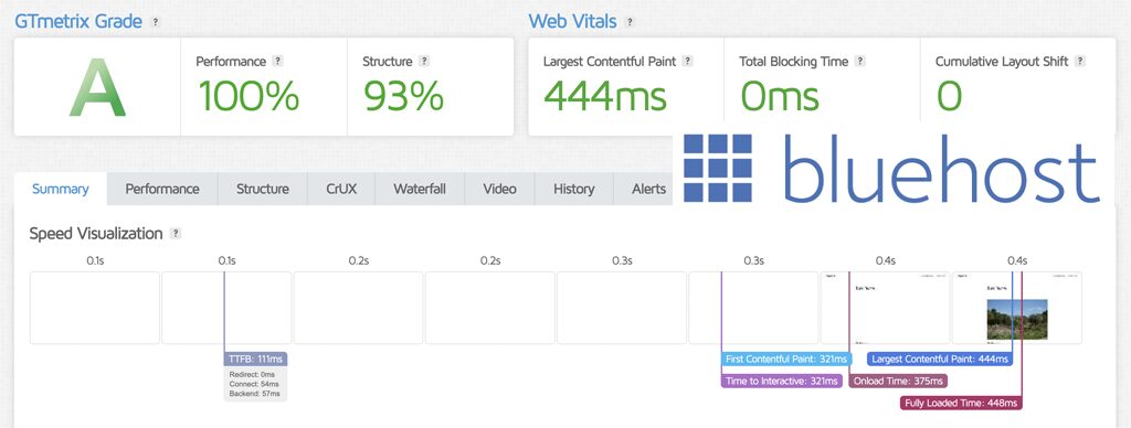 Bluehost Speed Test Results