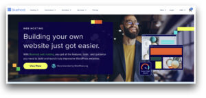 Bluehost