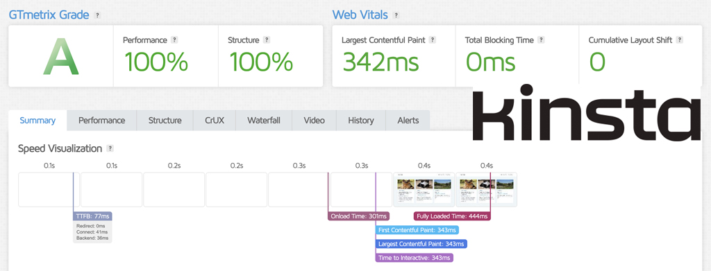 Kinsta Speed Test Results
