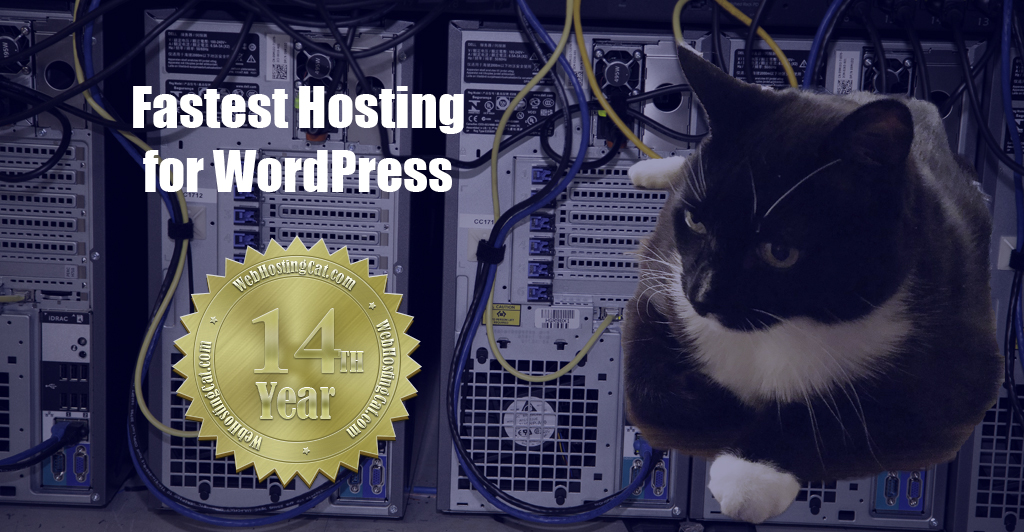 Web Hosting Cat Fastest Hosting for WordPress