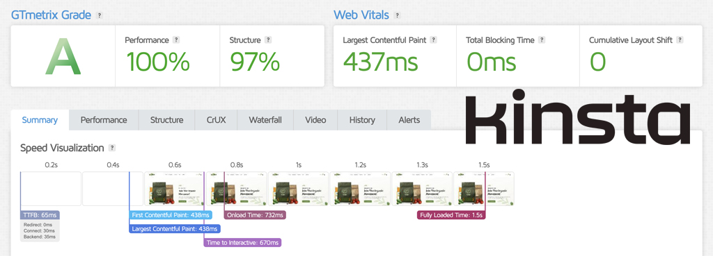 Kinsta WooCommerce Home Page