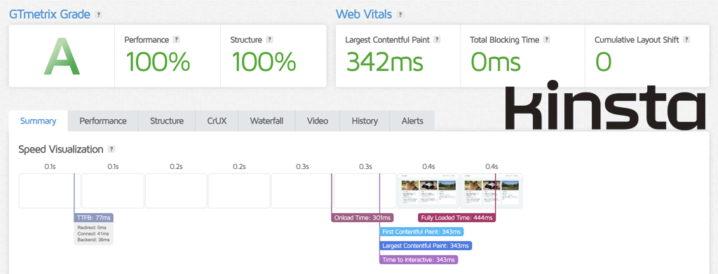 Kinsta Speed Test Results